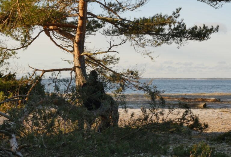 Tala om det för Tallen Annette Arlander